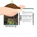 Leaf Lettuce Garden Seeds - Red Sails - 1 Oz - Non-GMO, Heirloom Vegetable Gardening & Microgreens Seed   565498614